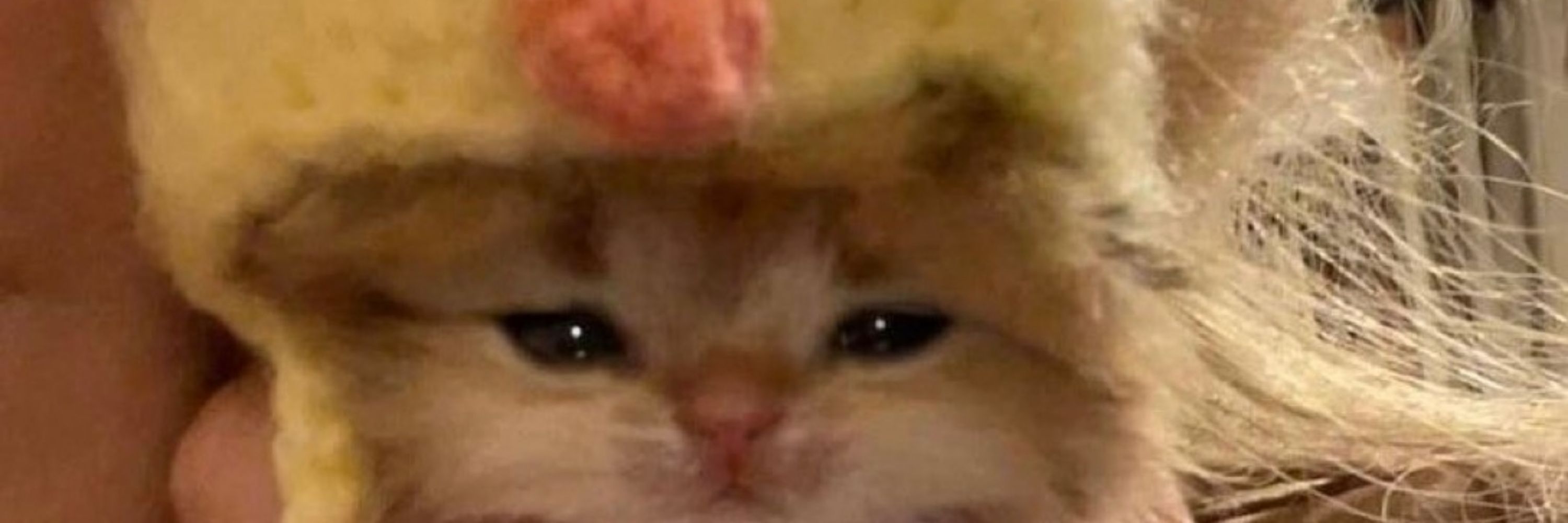 Ittheton 