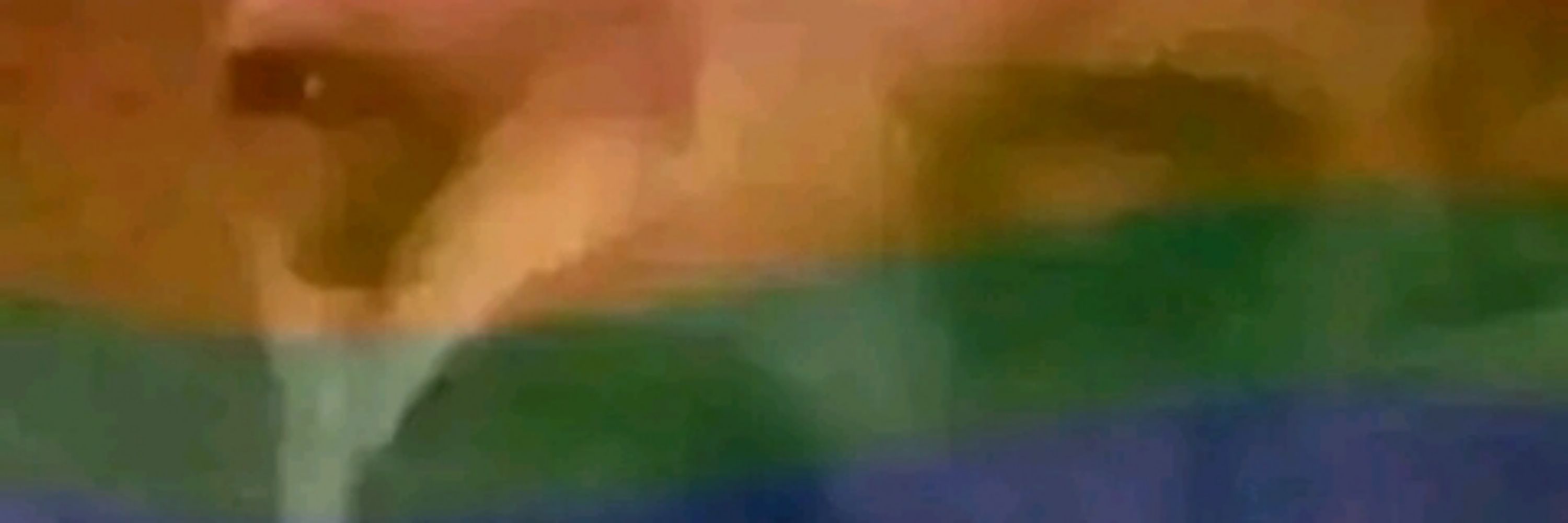 𝚁𝚞𝚊𝚛𝚢 𝙵𝚛𝚊𝚗𝚌𝚘
