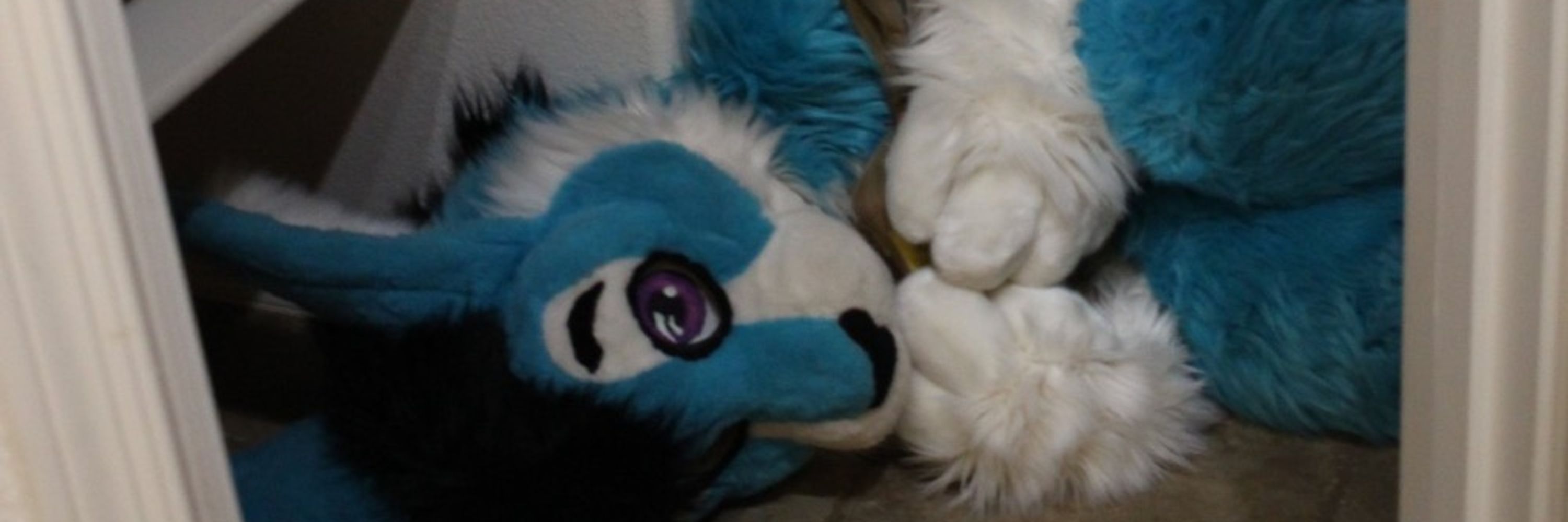 Skye Cabbit