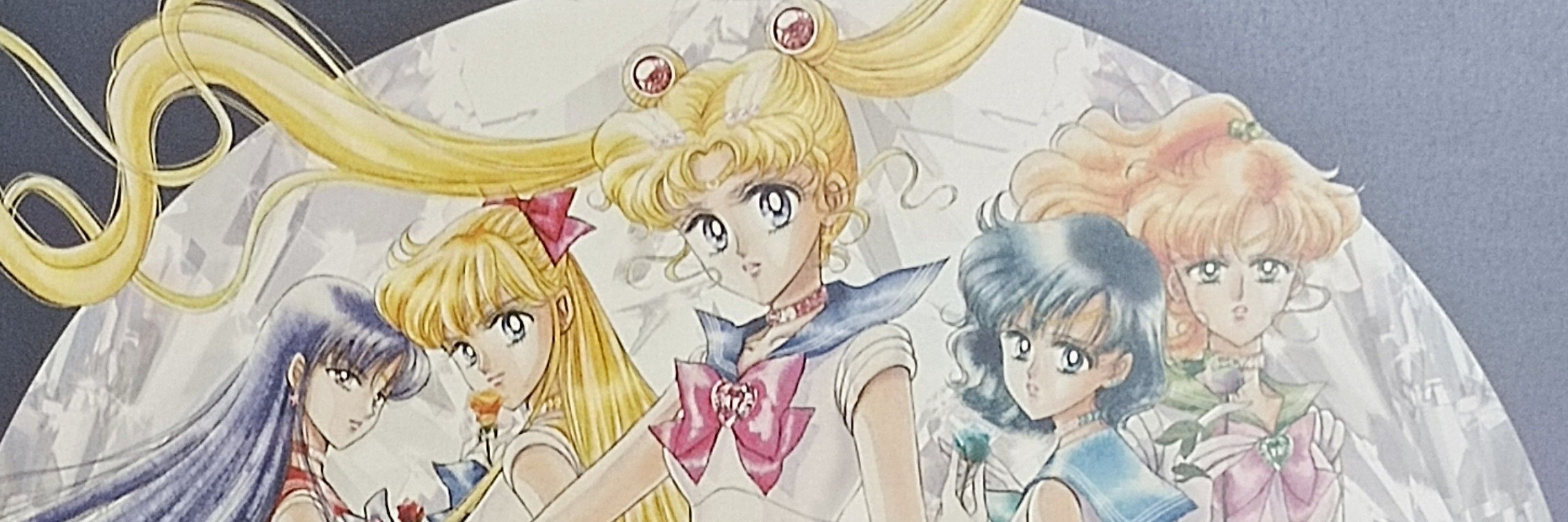 紗