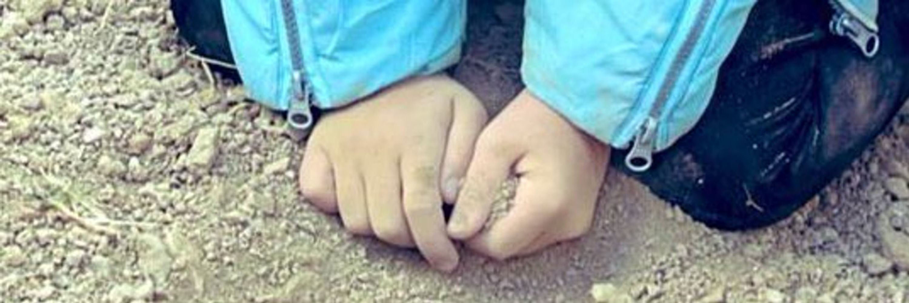Arash Hashemi • آرش هاشمی