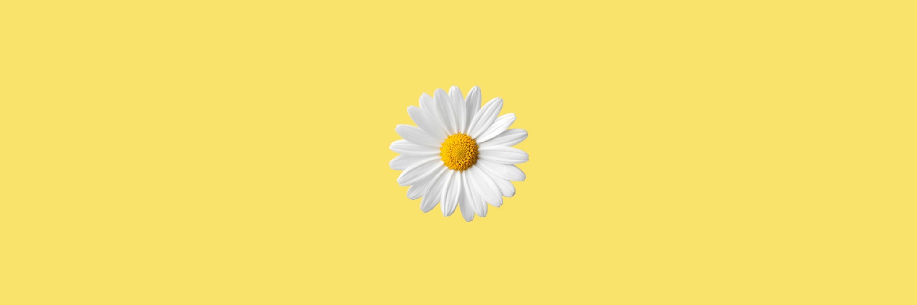Mari 🐝