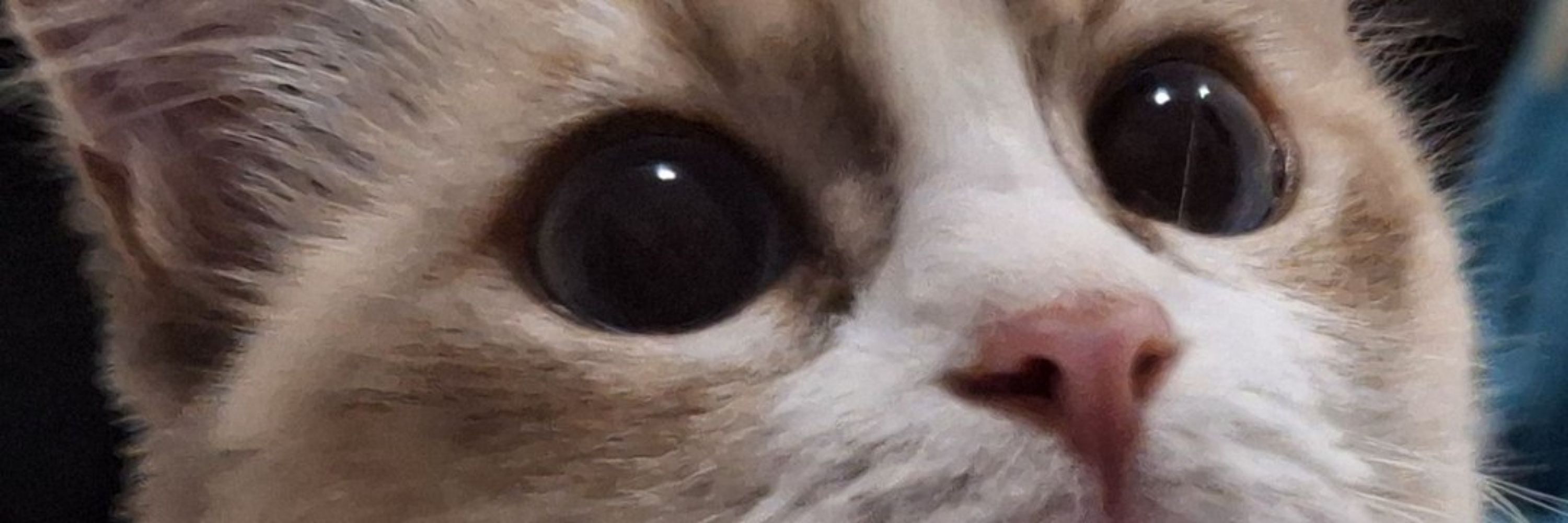 Ben