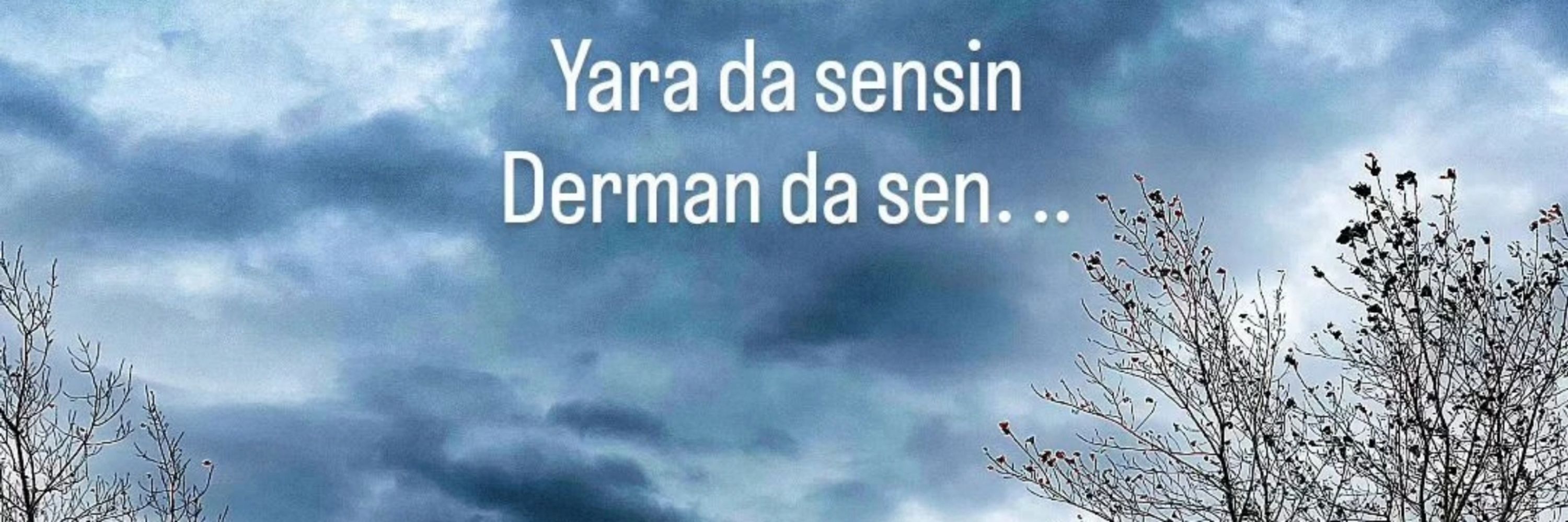 Selma İnce