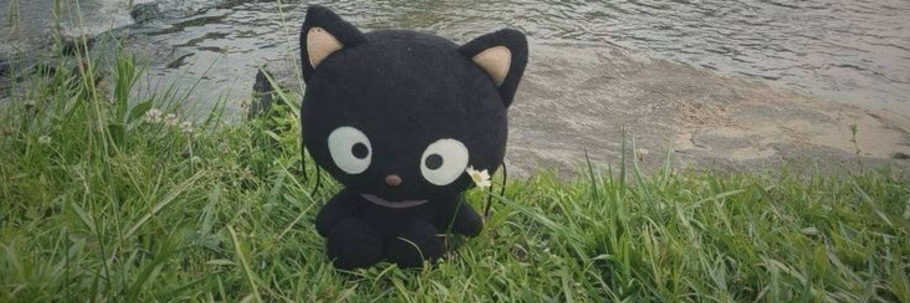 🐈‍⬛