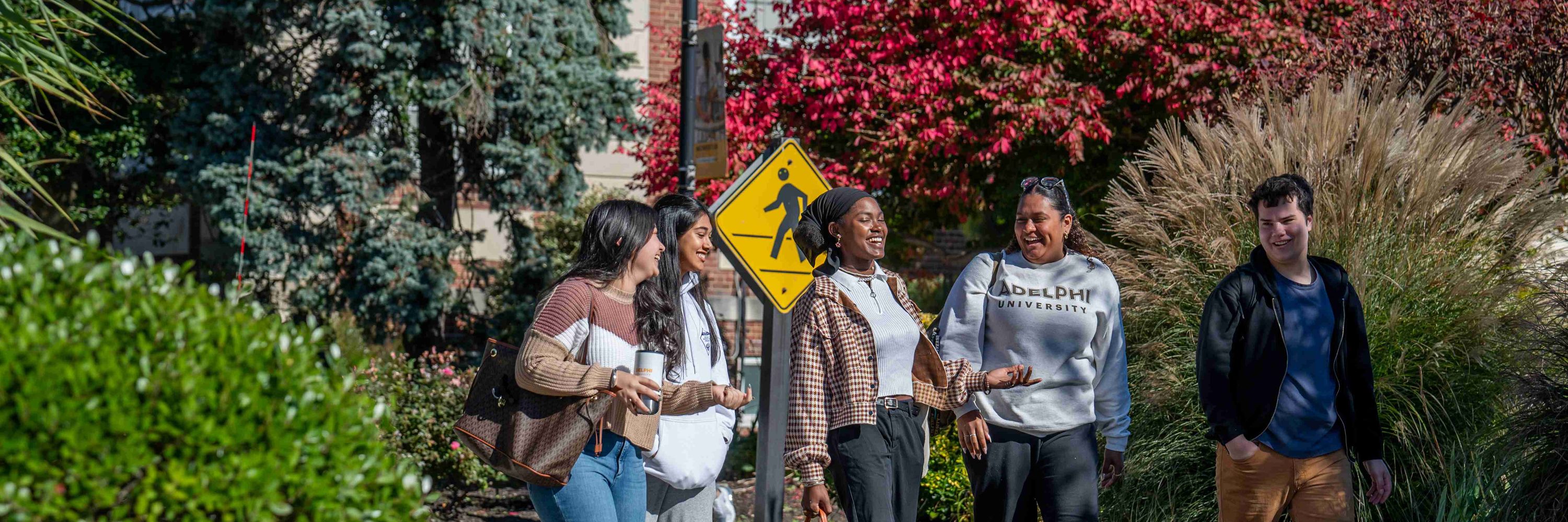 Adelphi University