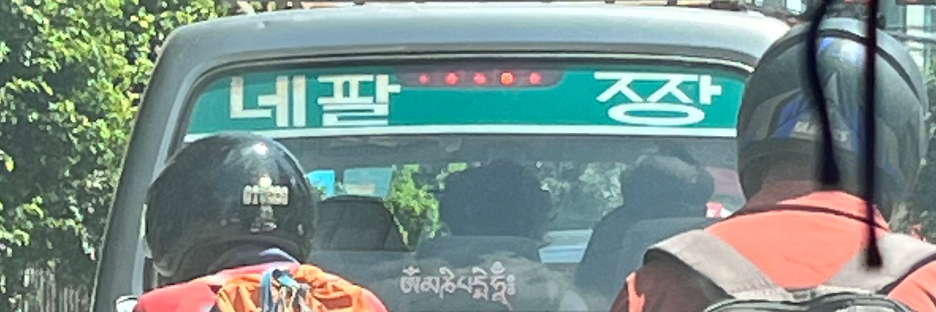 napalbaji_mapachita