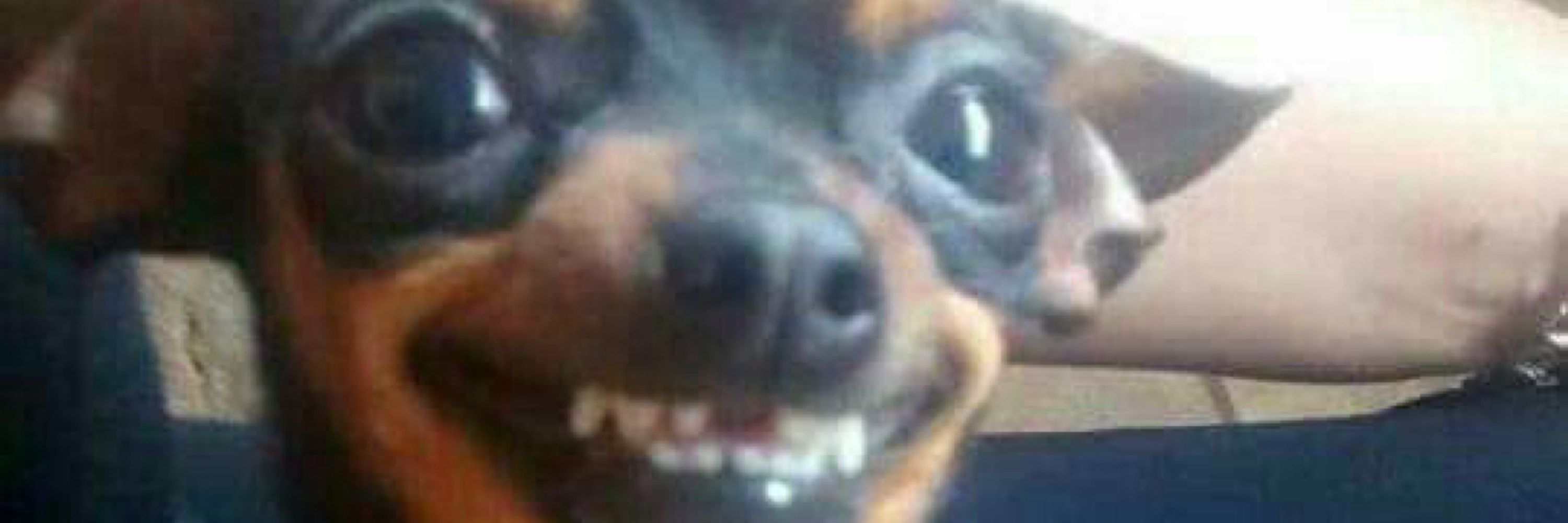 regan :|