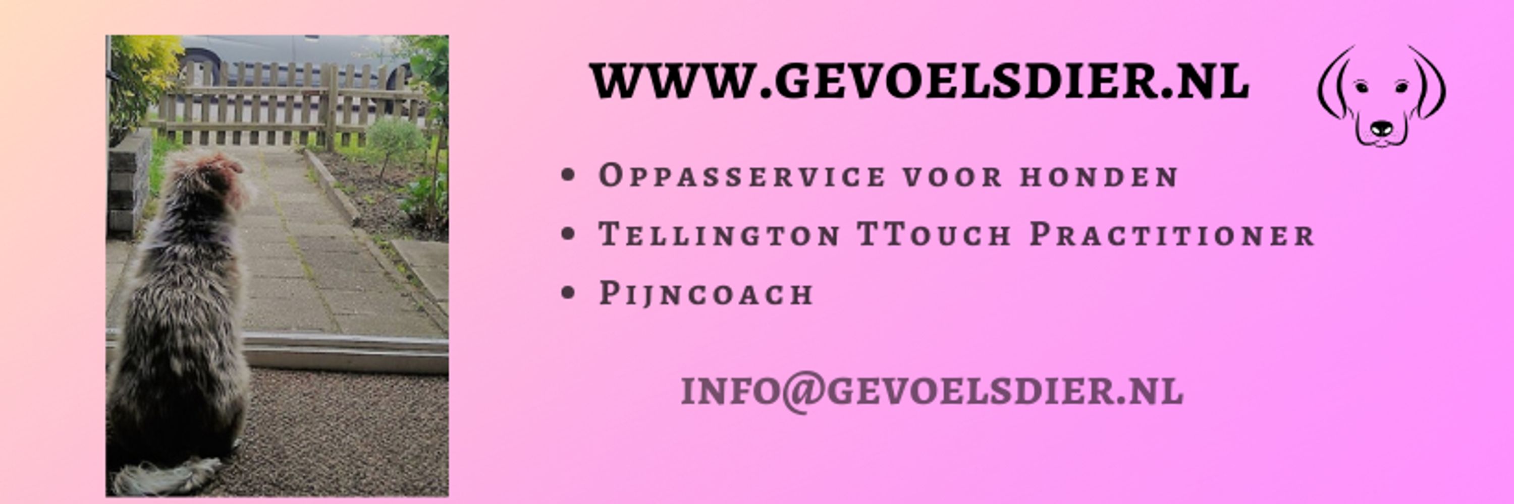 Gevoelsdier