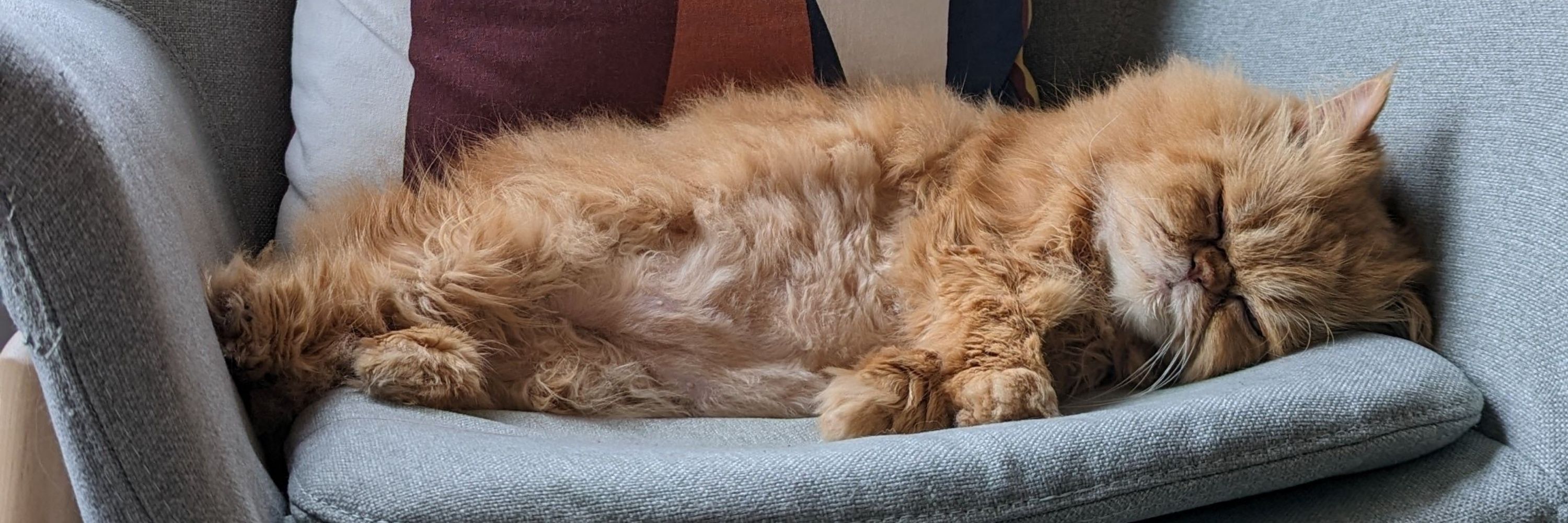 Serial Chiller