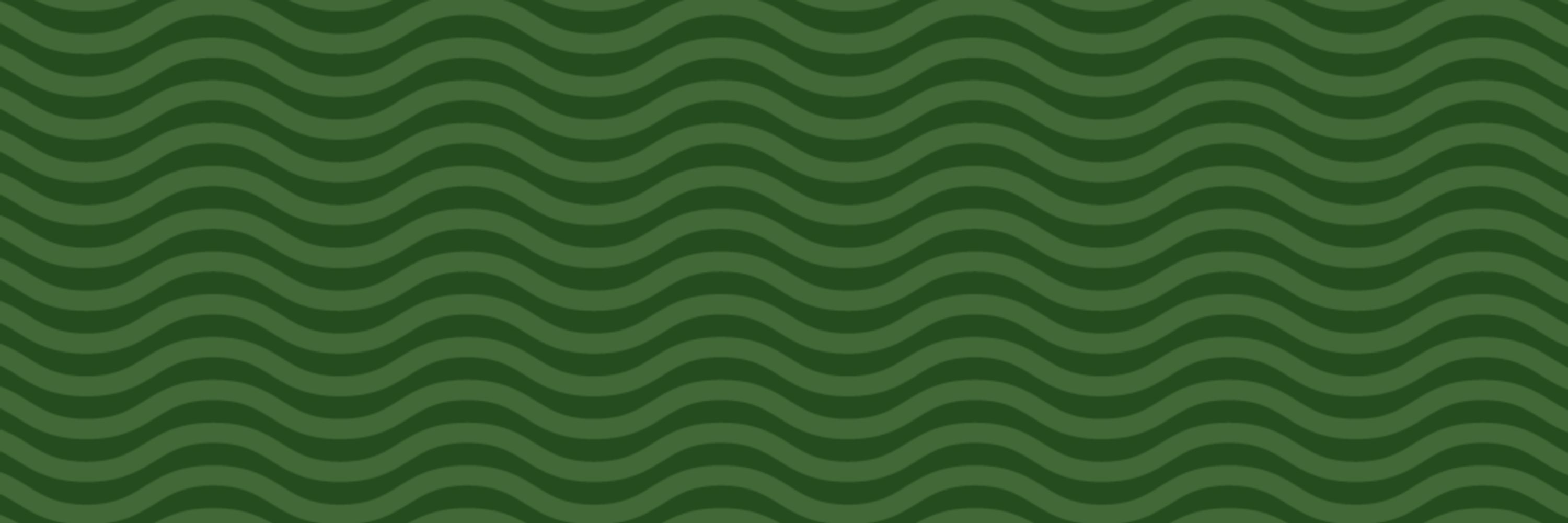 The Langley Union