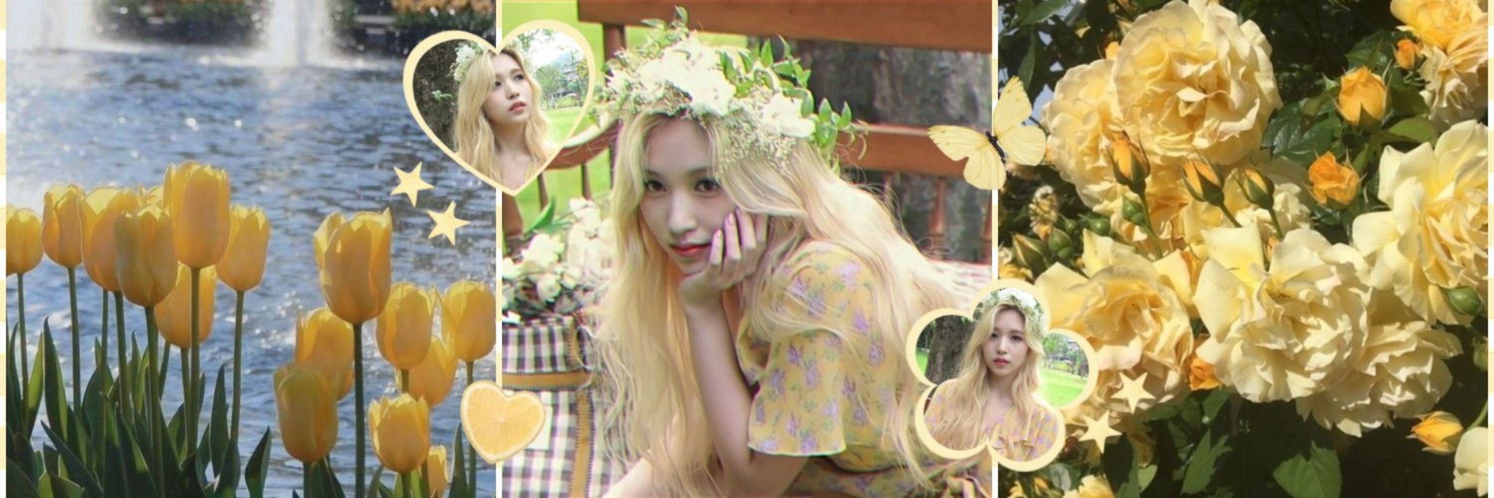 all about nana || MISAMO