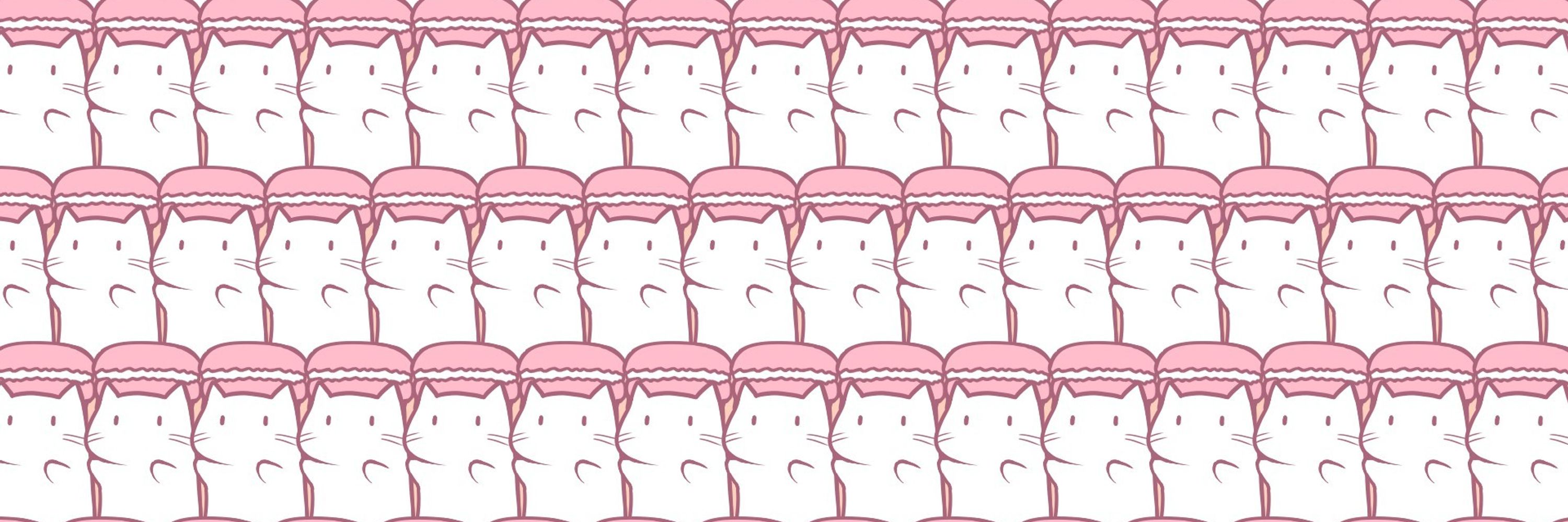 マカ猫