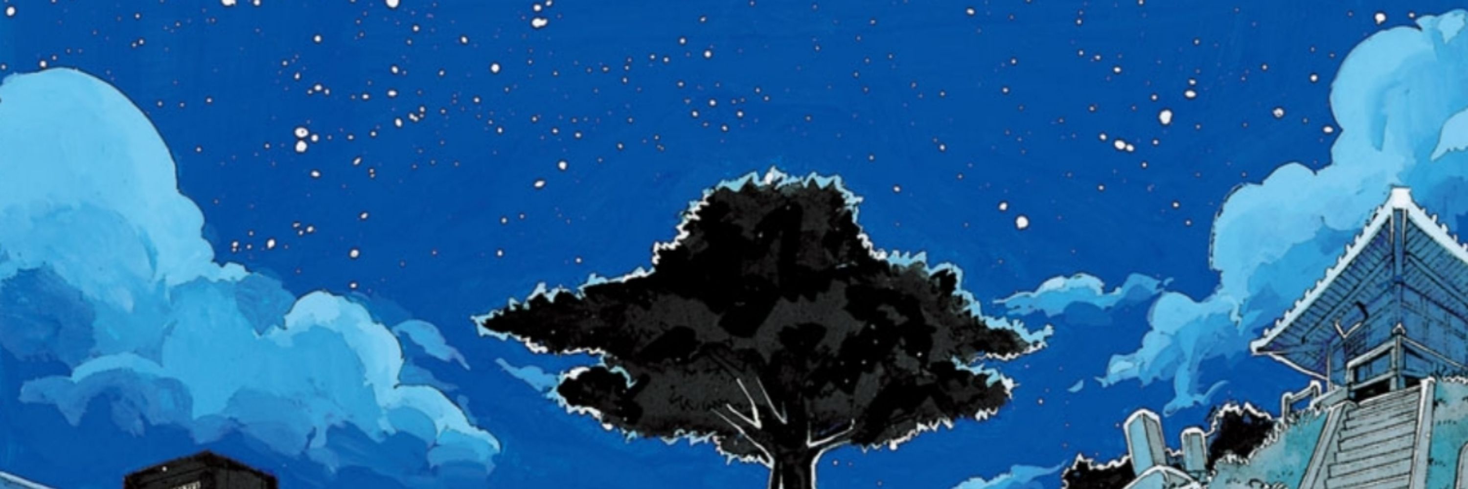 サリッチ🌌
