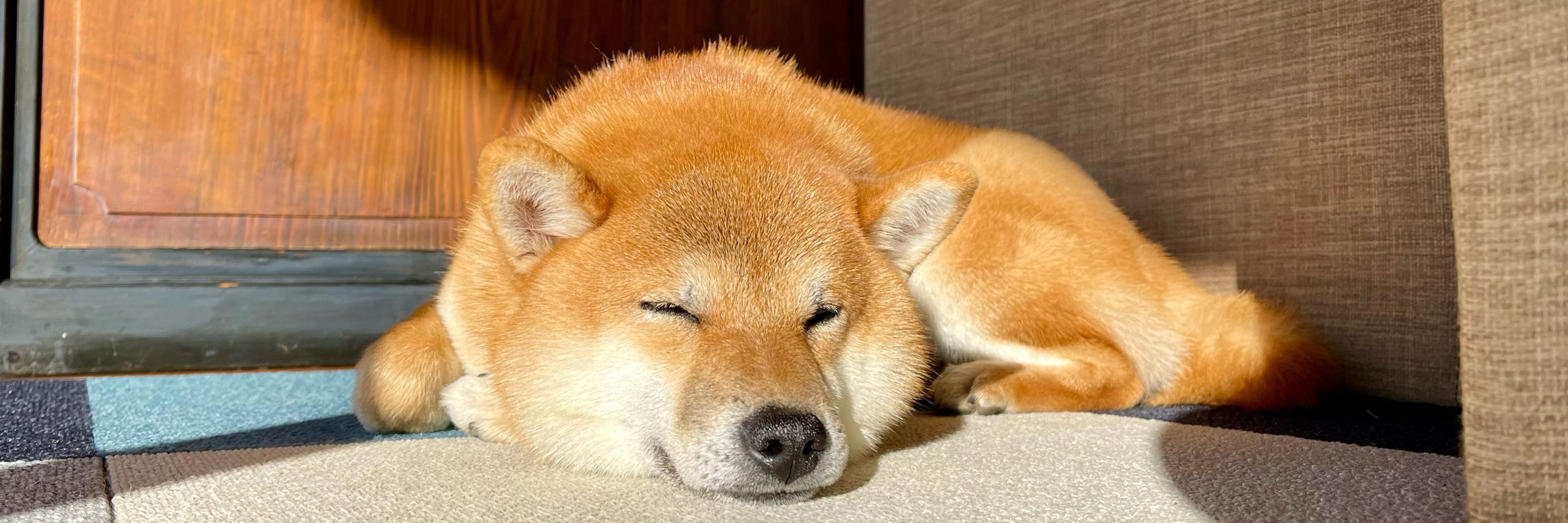 ハゲ