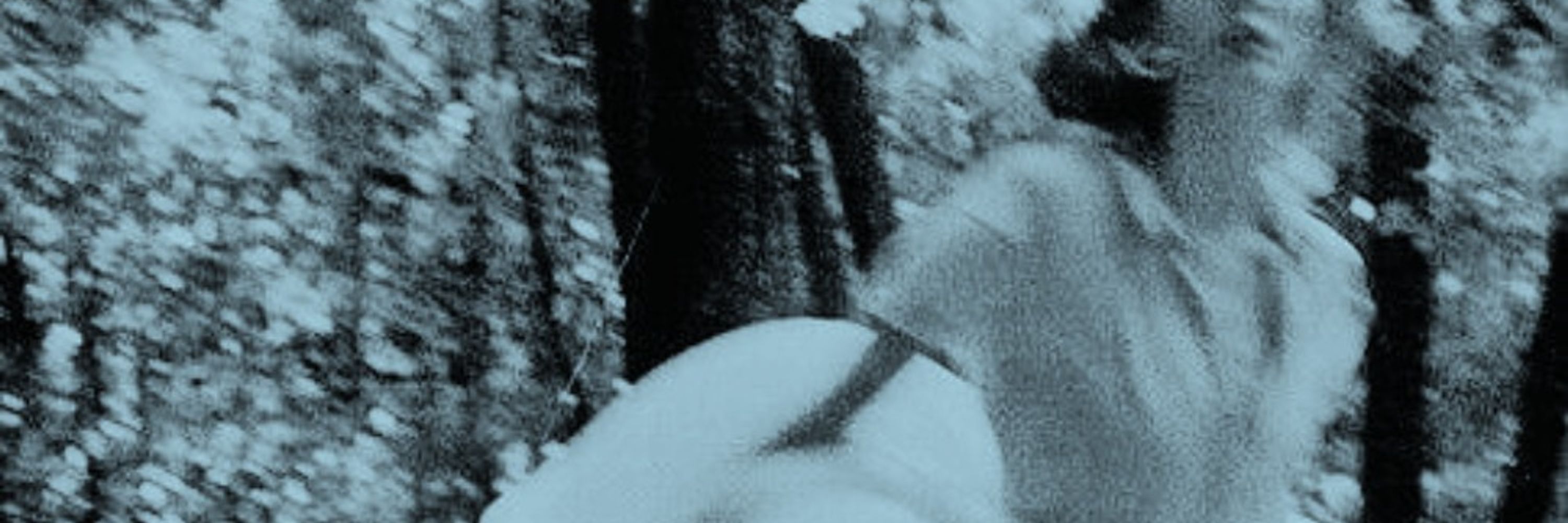Laq