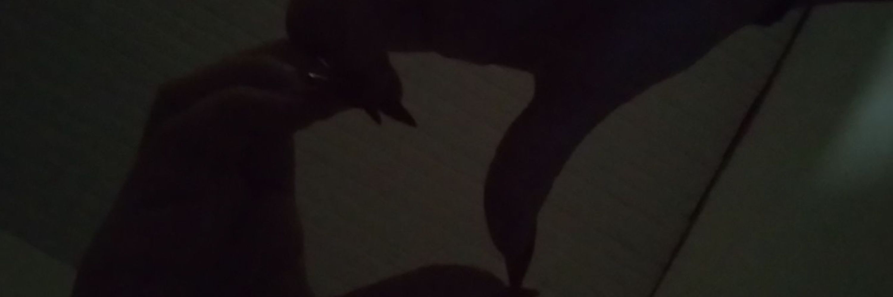 lulu