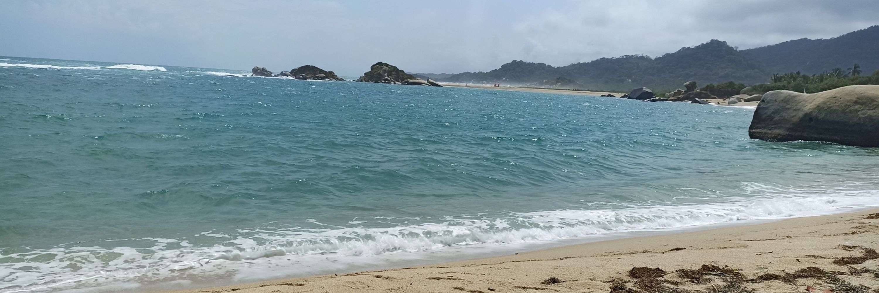 Lorelita