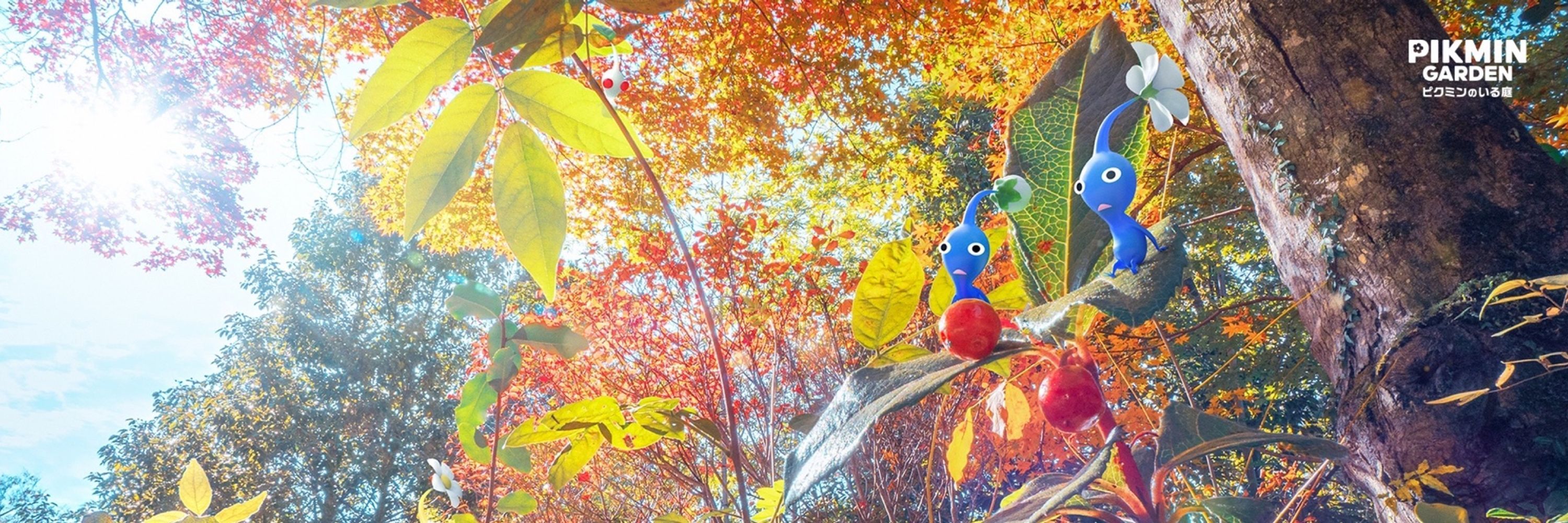 Partially Frequent Pikmin Facts 2