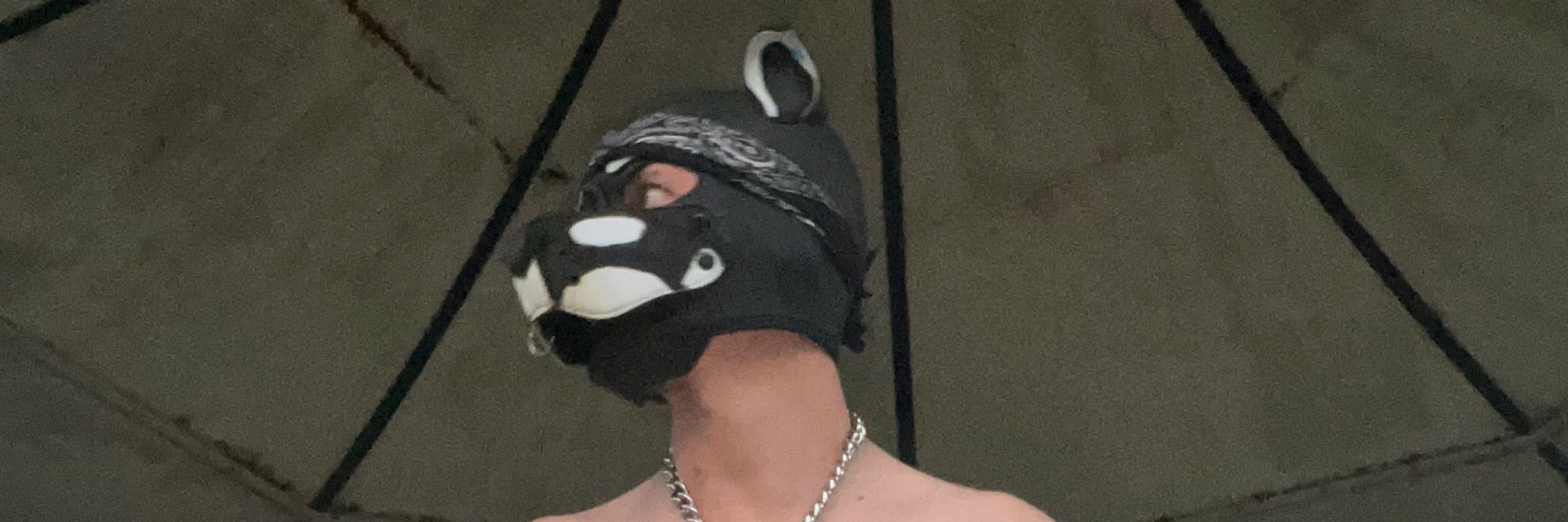 Orca-puppO
