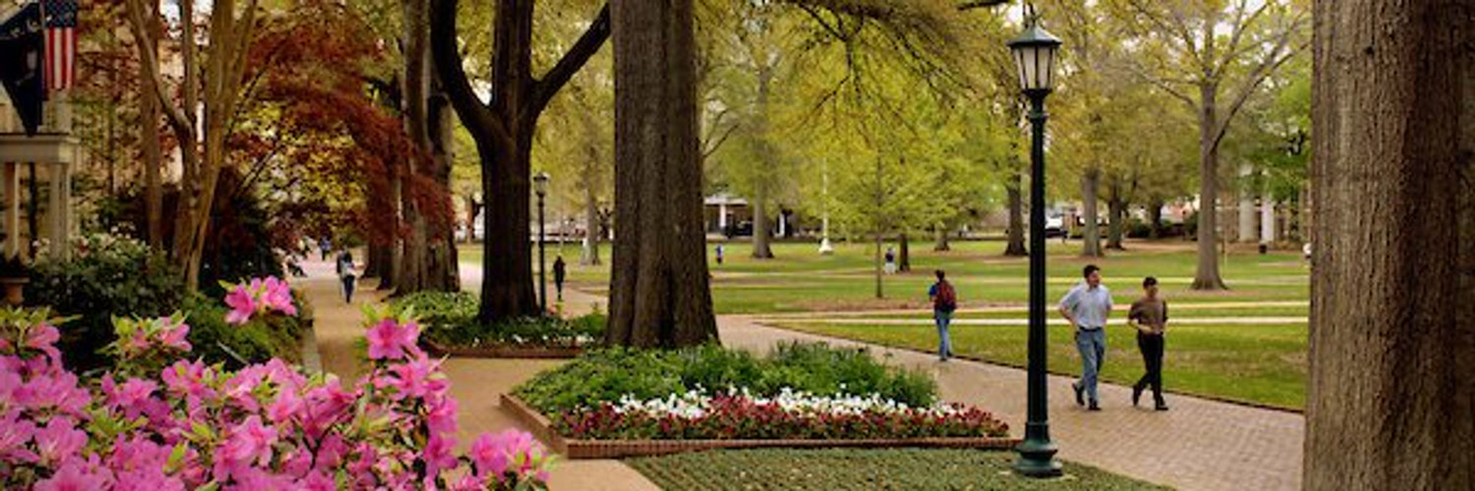 UofSC Humanities Collaborative