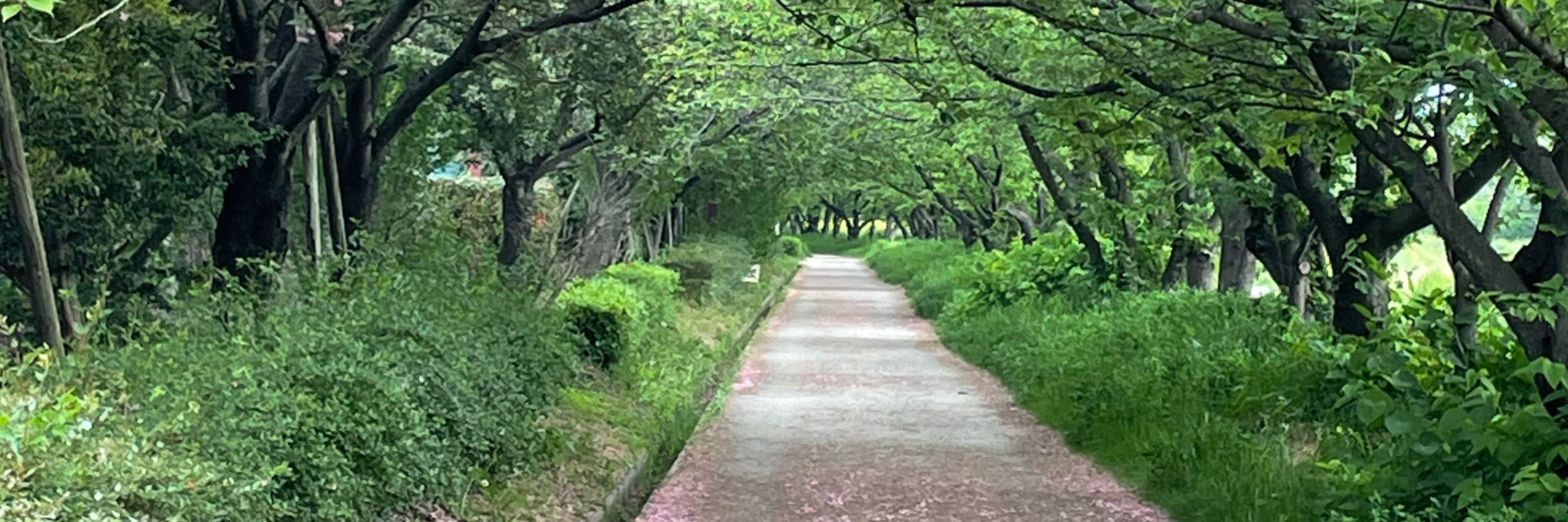 パーくんRT