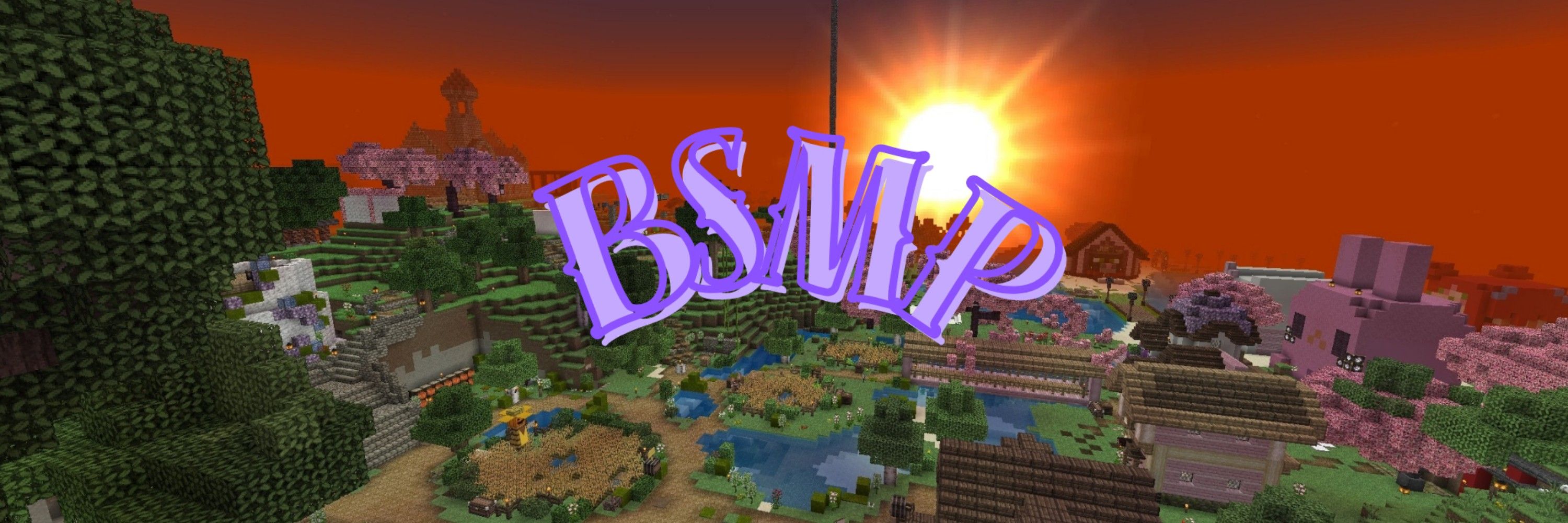 BSMP 