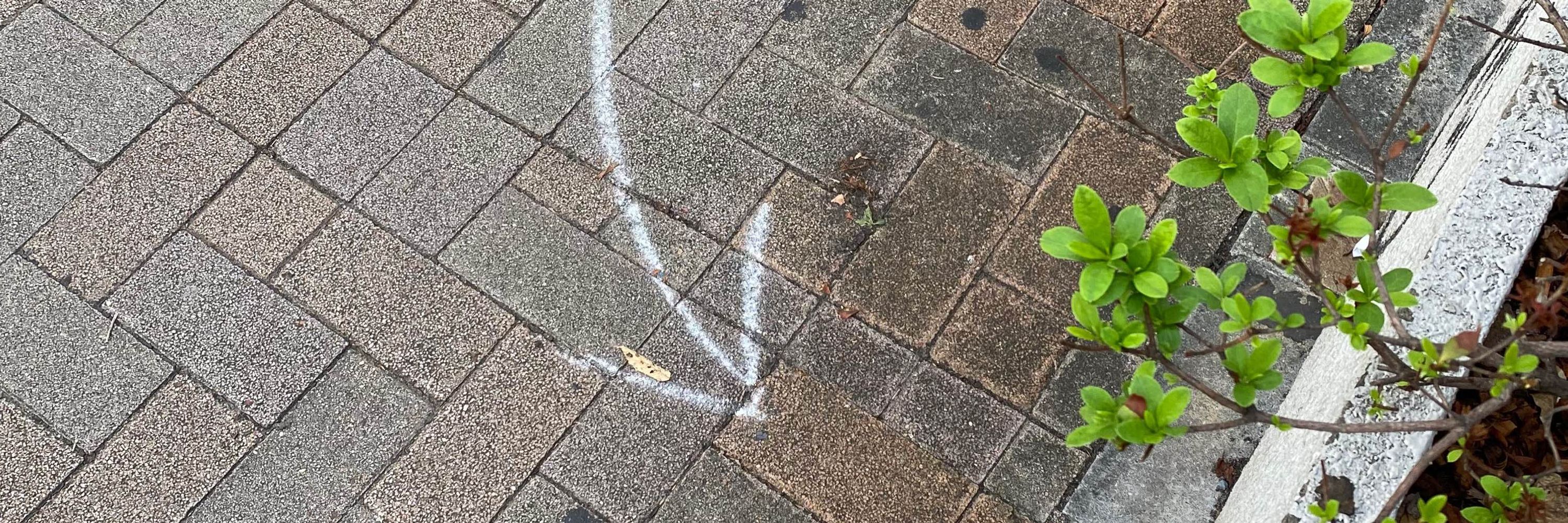 tamunade/タムナデ姉