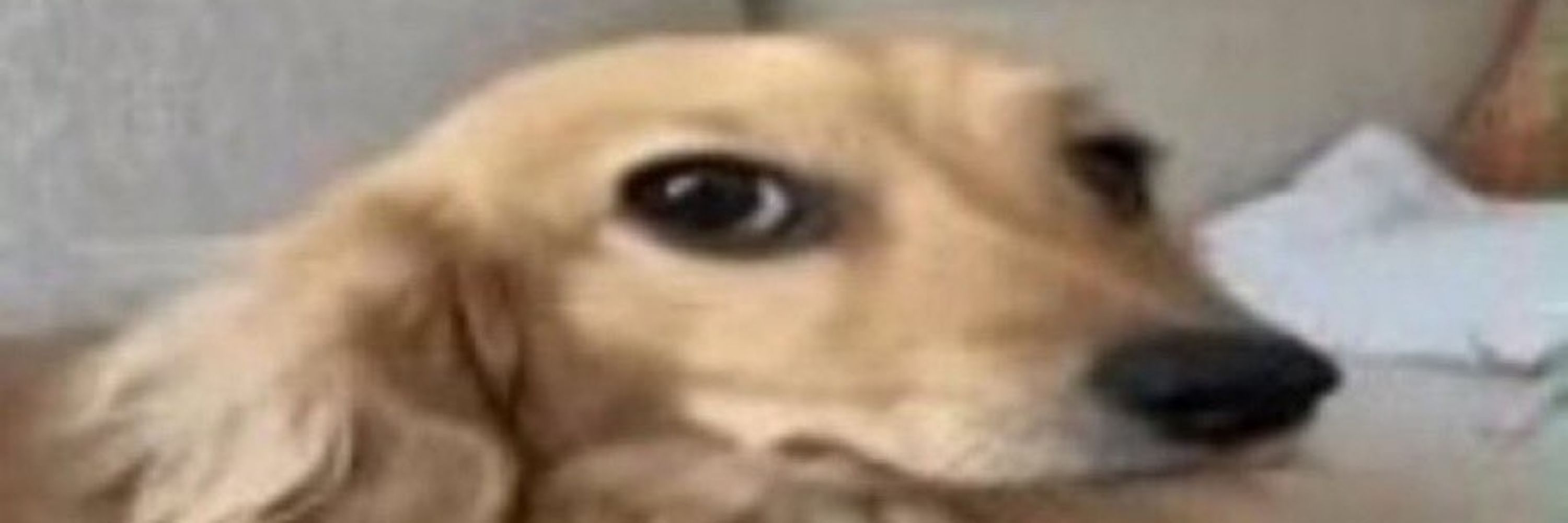 Nic