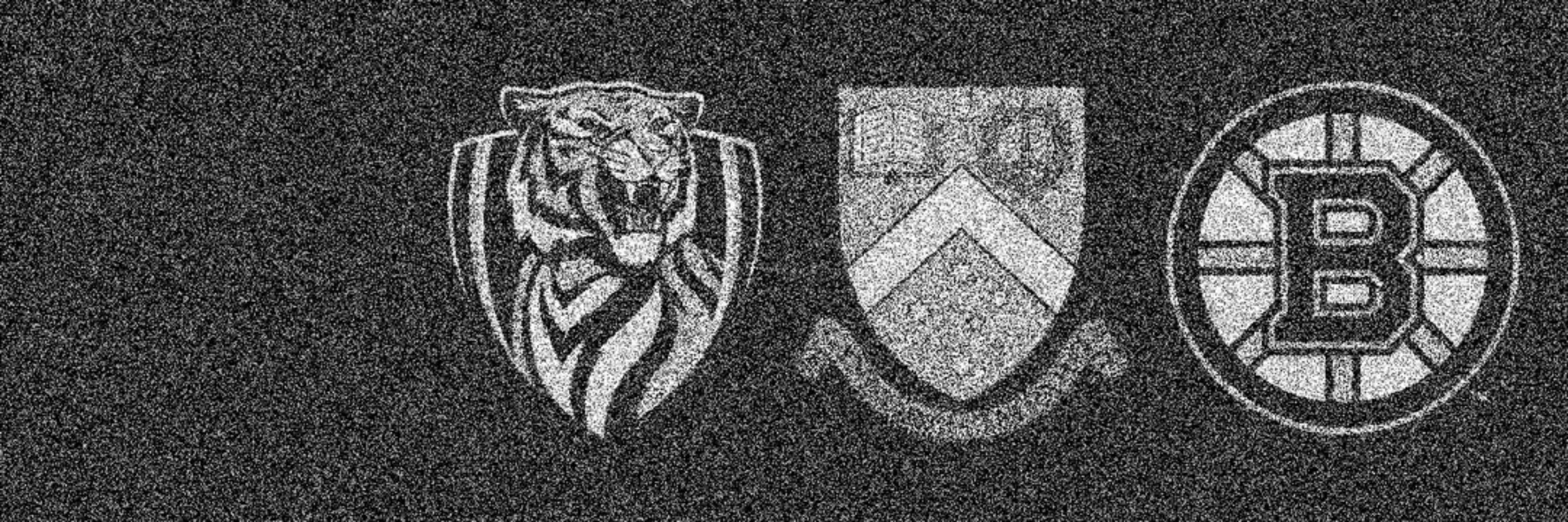 Whites Tiger 🇺🇦