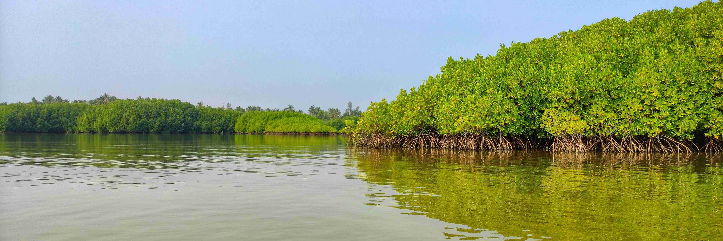 Collaboration for Environmental Evidence (CEE)