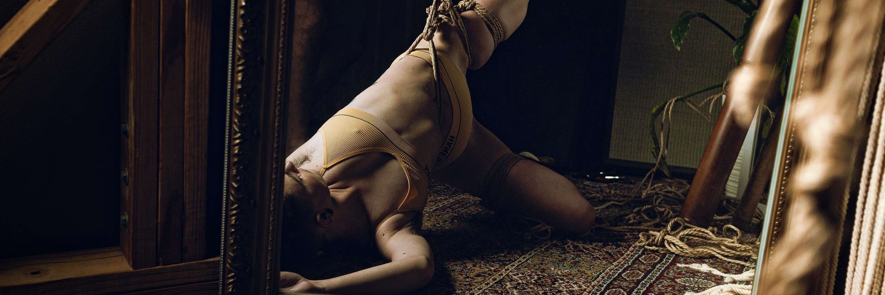 Joeyshibari 