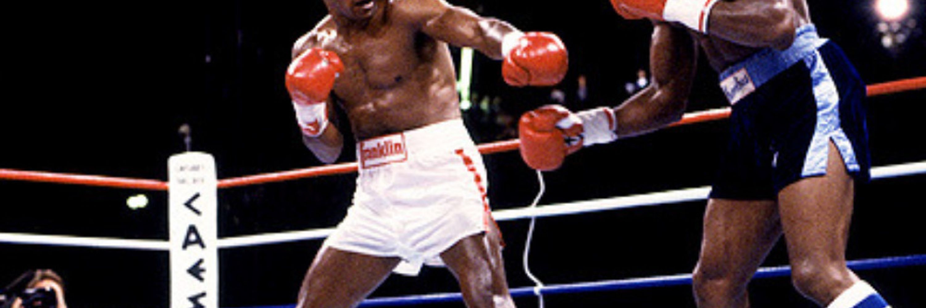 スティングレイ🥊
