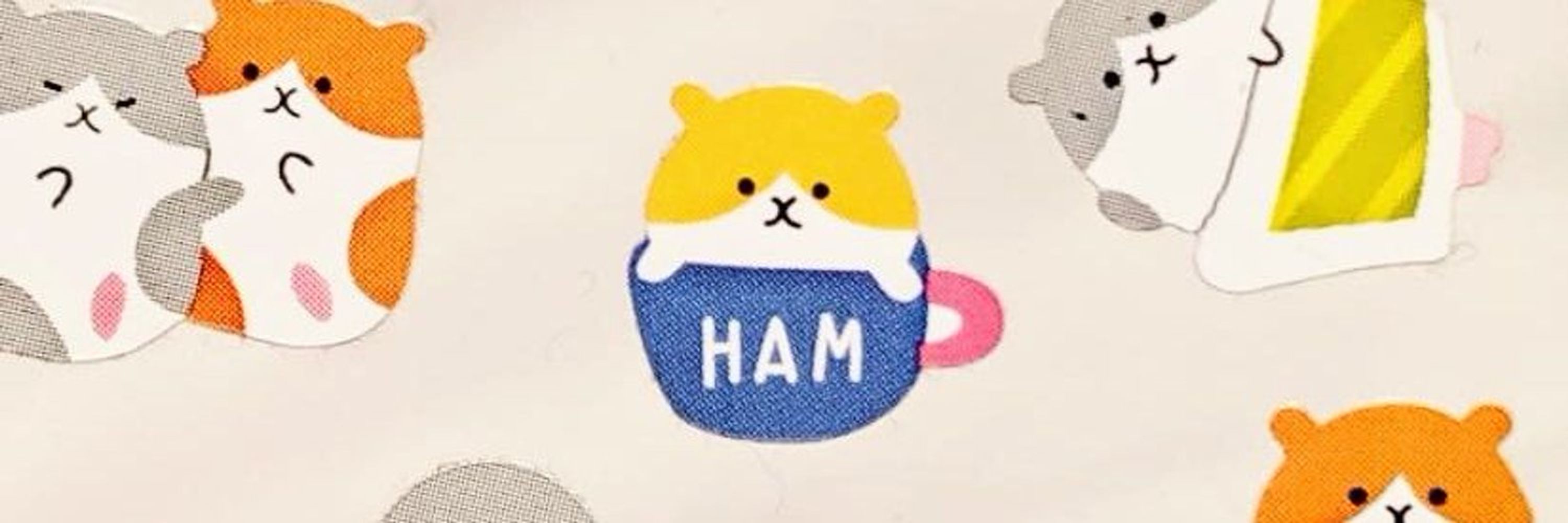 ✿ham 📌 Letter Song now streaming!