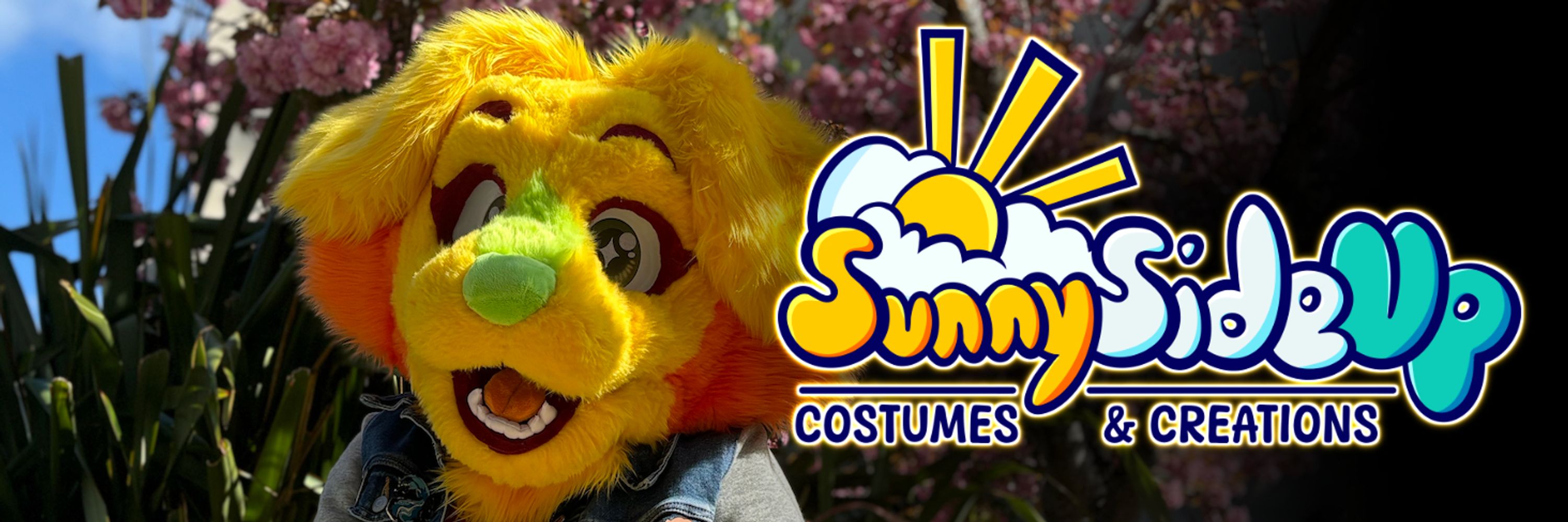 Sunny Side Up Costumes & Creations!