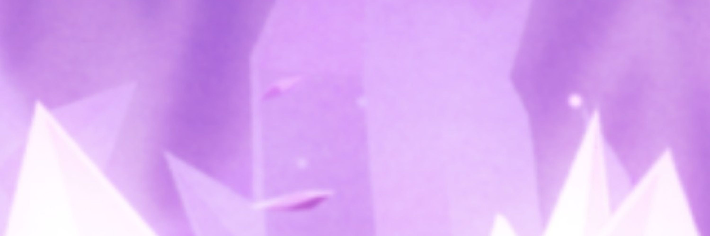 Profile banner