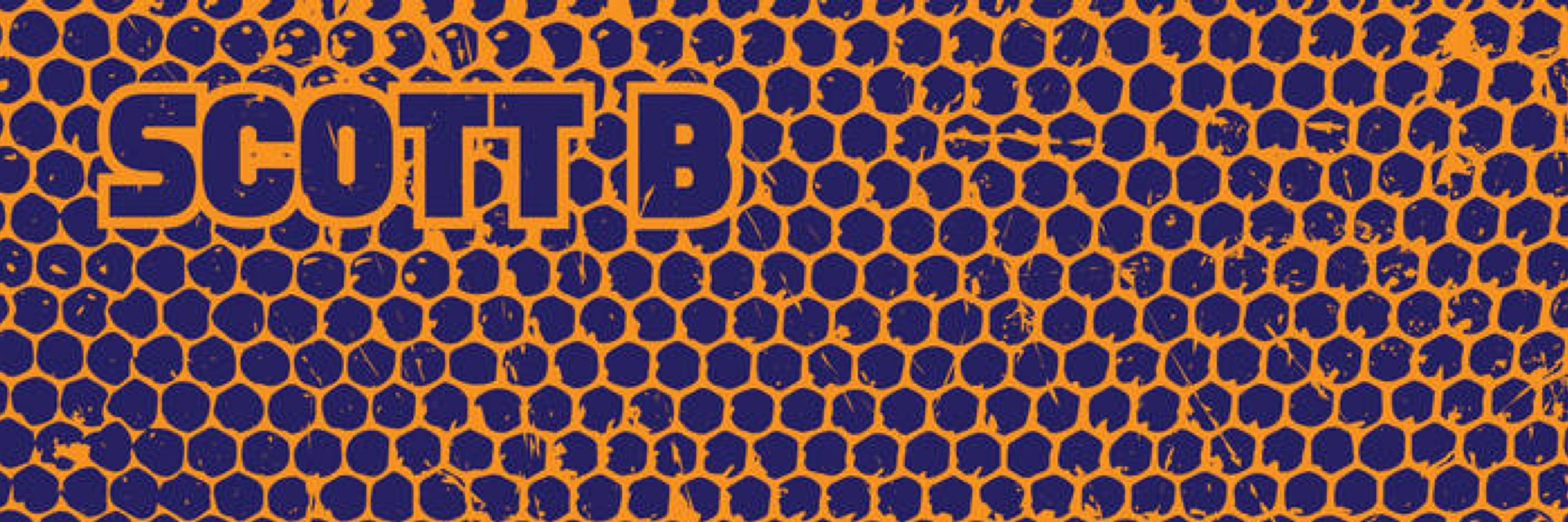 Scott B // Ska Bees