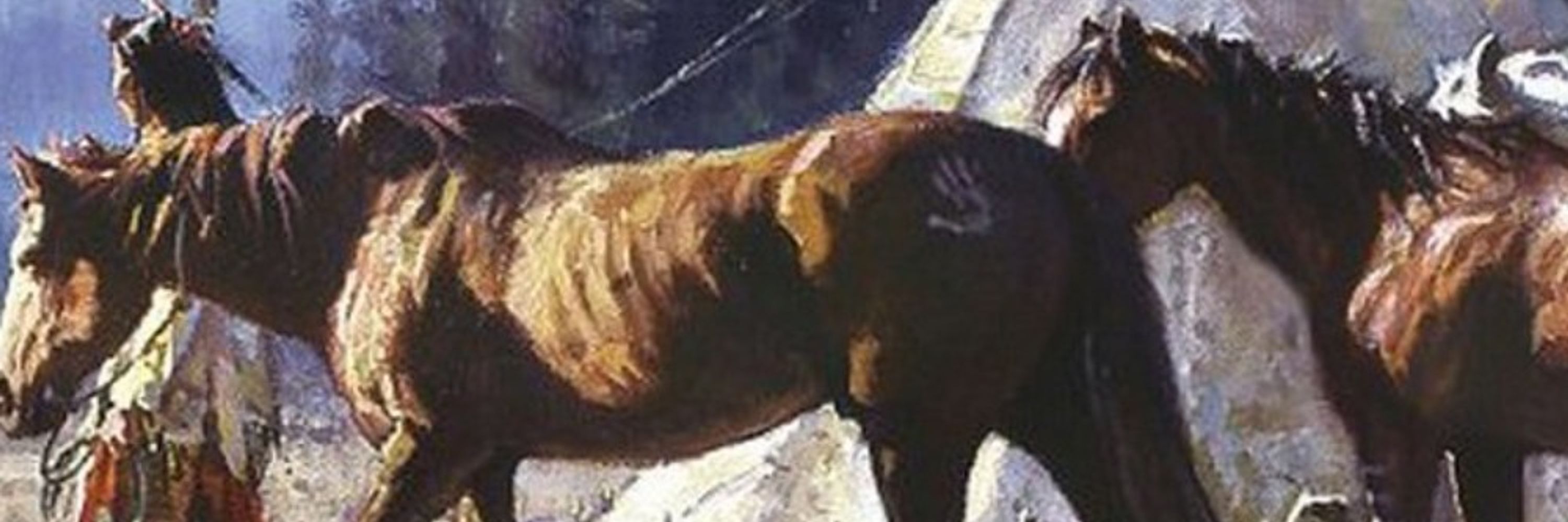 José Pires F