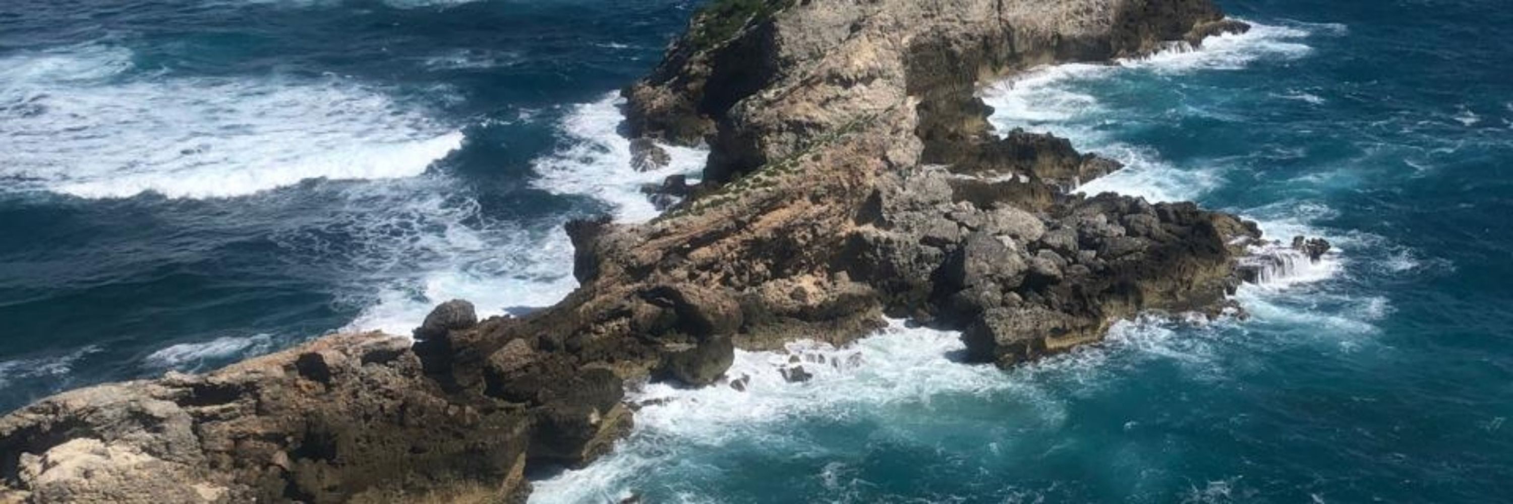IA-IPR Économie et Gestion en Guadeloupe