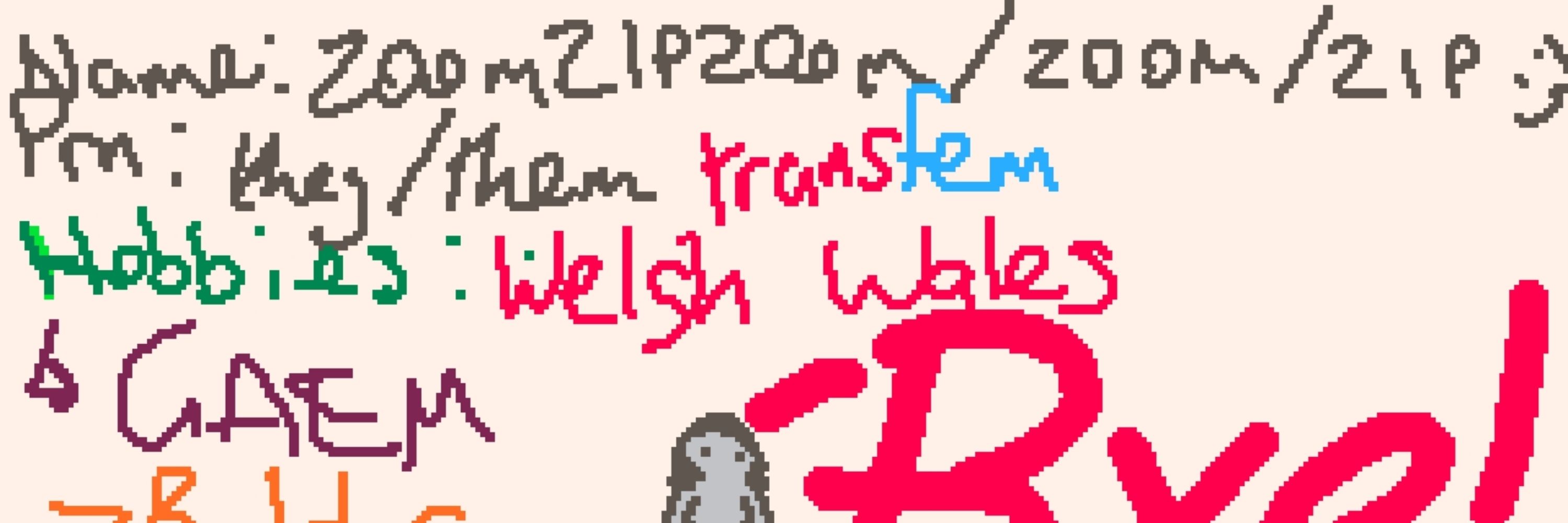 zoomzipzoom