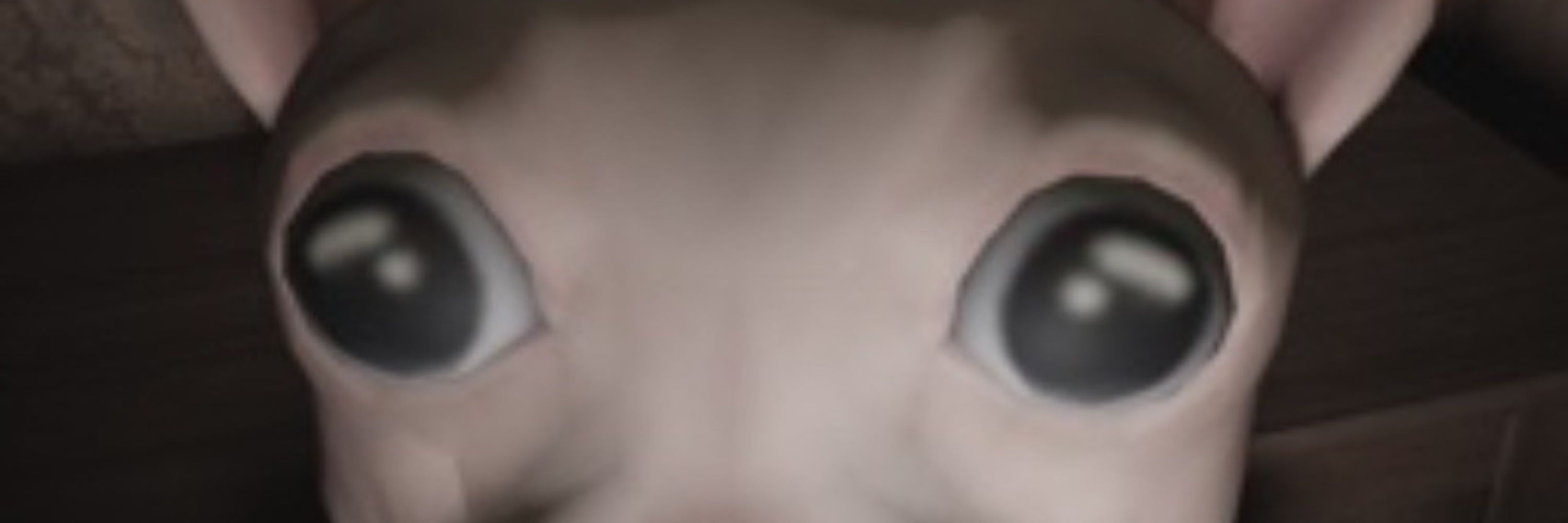 autismposting