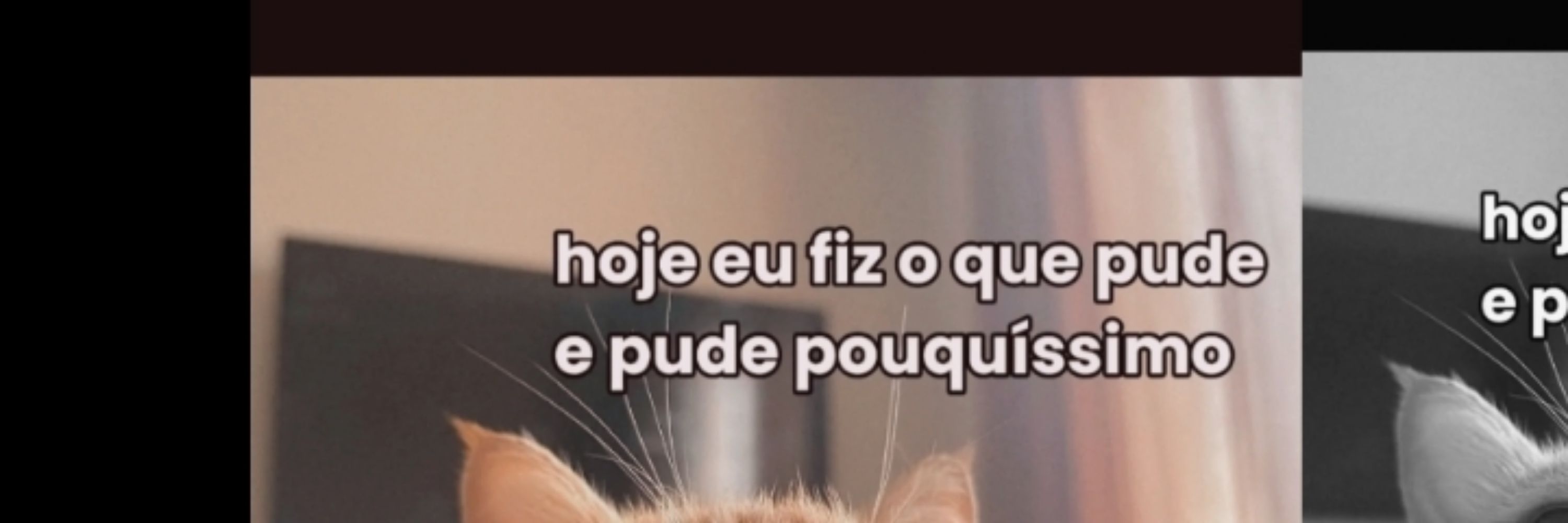 Lu Lacerda