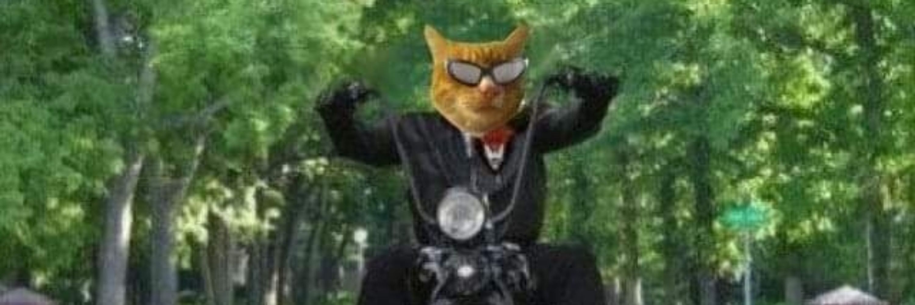 Rudy Tinncat