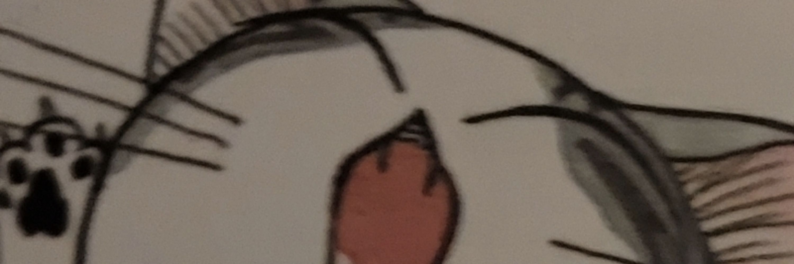xtn