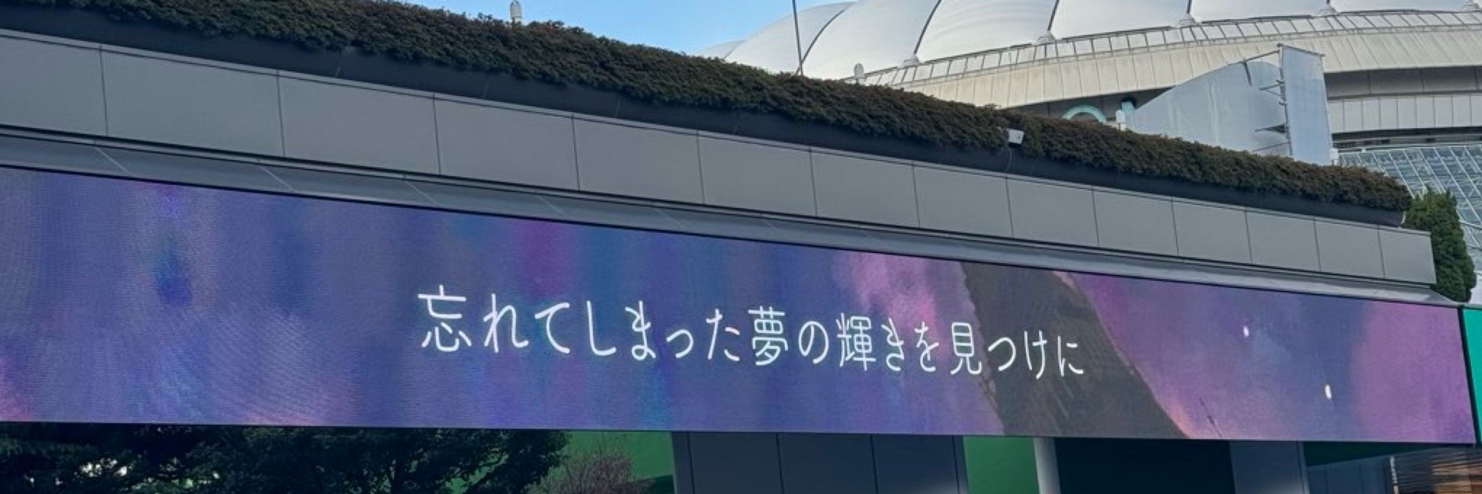 はーさん