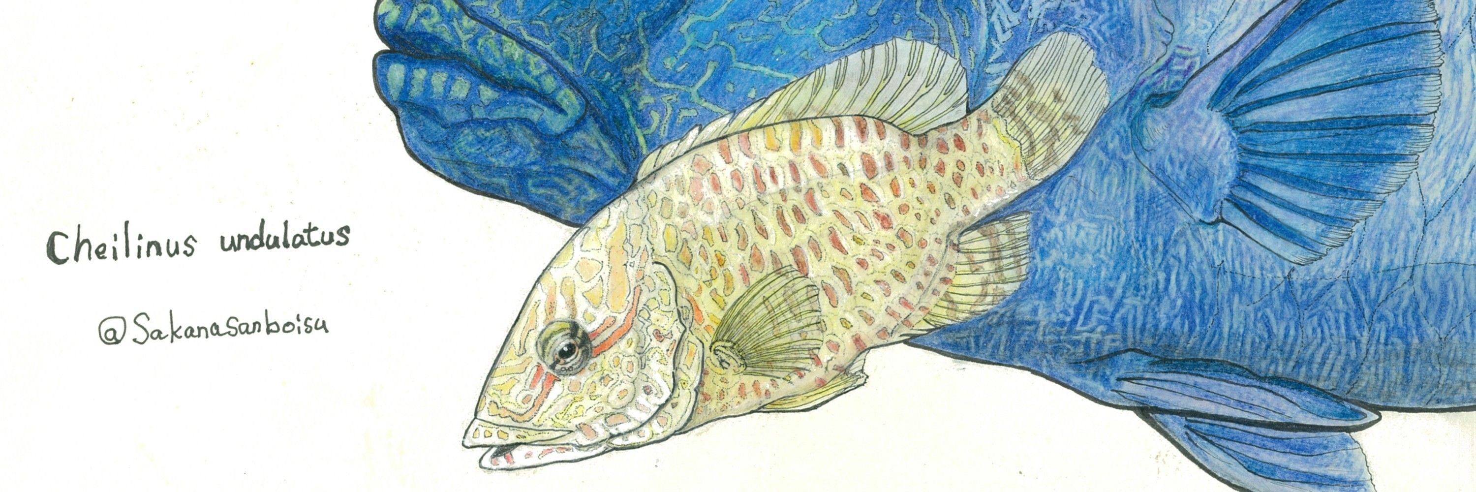 魚...ですか？