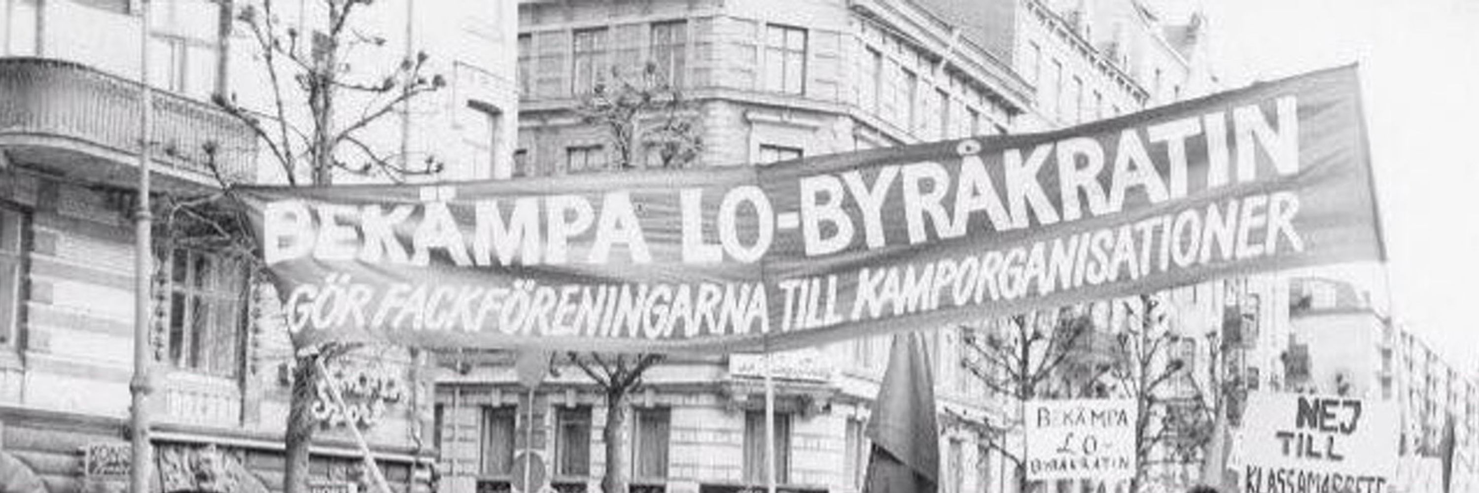 Lilla Xnivèn 🐊