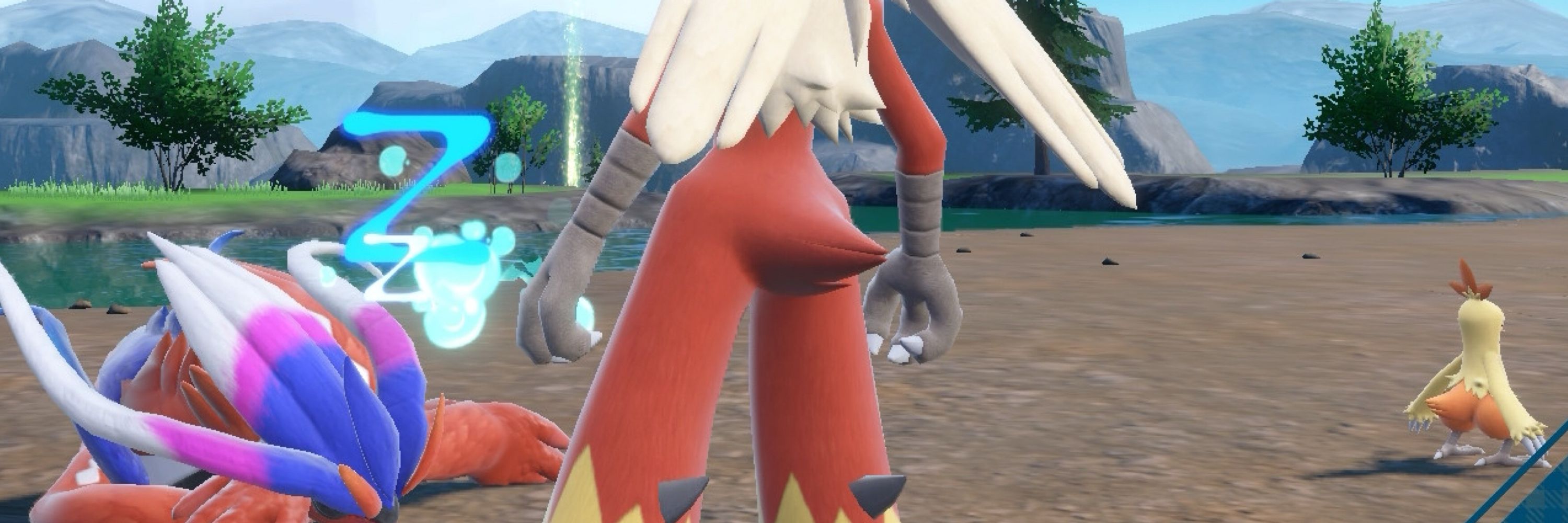 ベゴニア