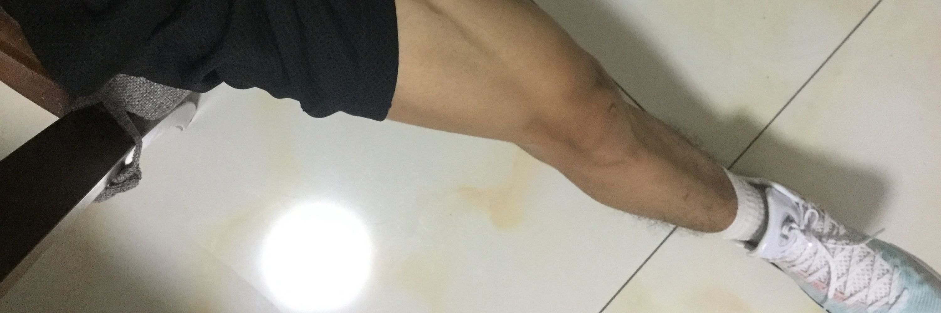 柴柴是小短腿
