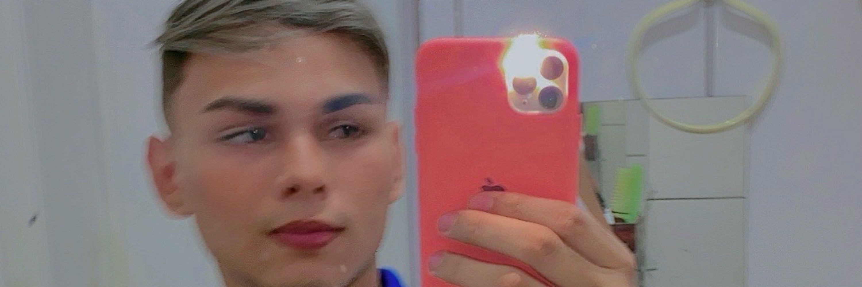 demis sant
